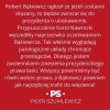Patologia urzędu prezydenta