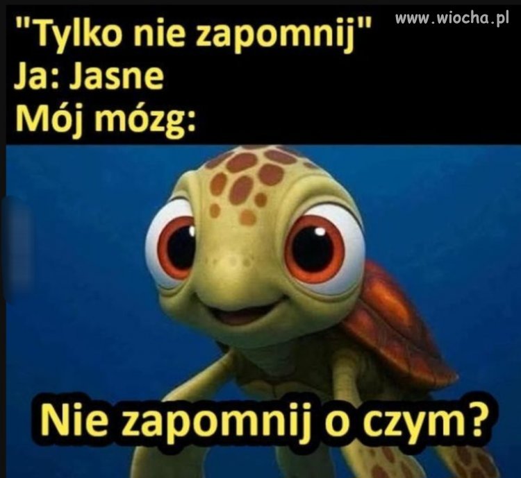 Ale, że co? 