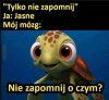 Ale, że co? 