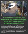 Dlaczego ludzie są tak bardzo głupi?