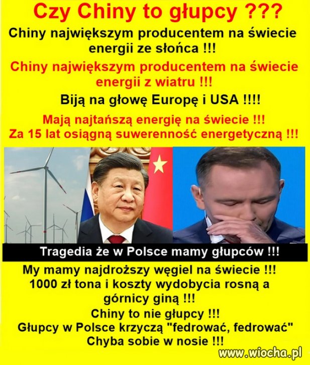 "Wincyj wengla" To ten ĆPUN tak mordę drze? 