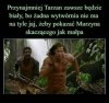 To byłby prawdziwy obraz