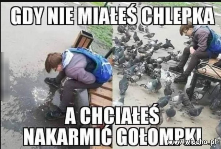 Nie masz chlebka?