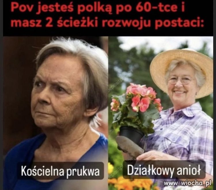 Ścieżki rozwoju po 60