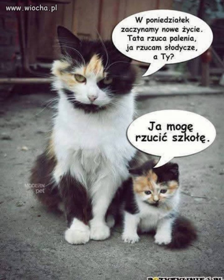 Nowy rok szkolny, nowe postanowienia.