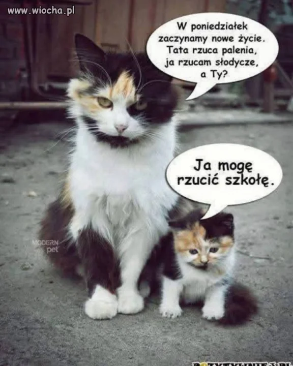 Nowy rok szkolny, nowe postanowienia.