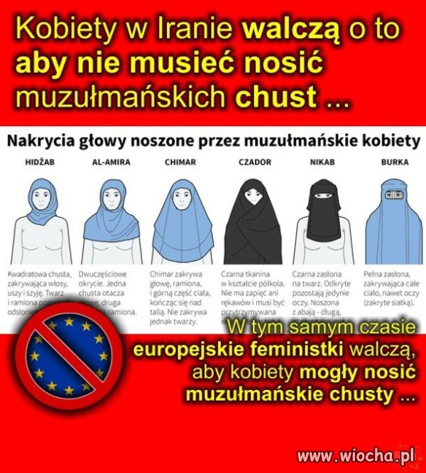 Taka paranoja...