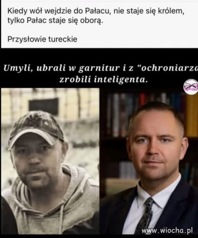 Nobilitacja