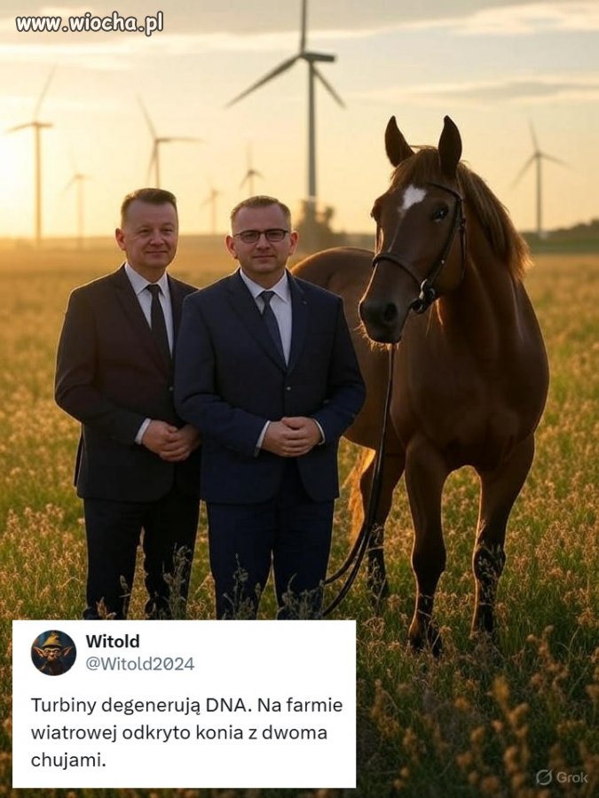 To ten koń co rakietę znalazł?