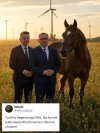 To ten koń co rakietę znalazł?