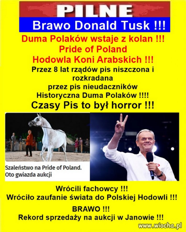 Wystarczyło wygonić szkodników i złodziei PiSu...