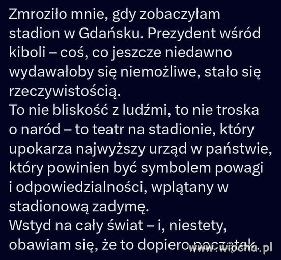 Głos internauty
