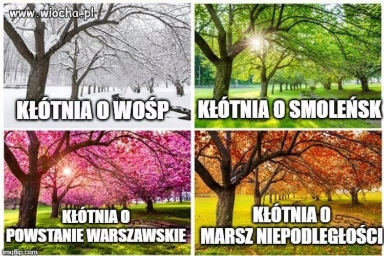 Kolejny rok