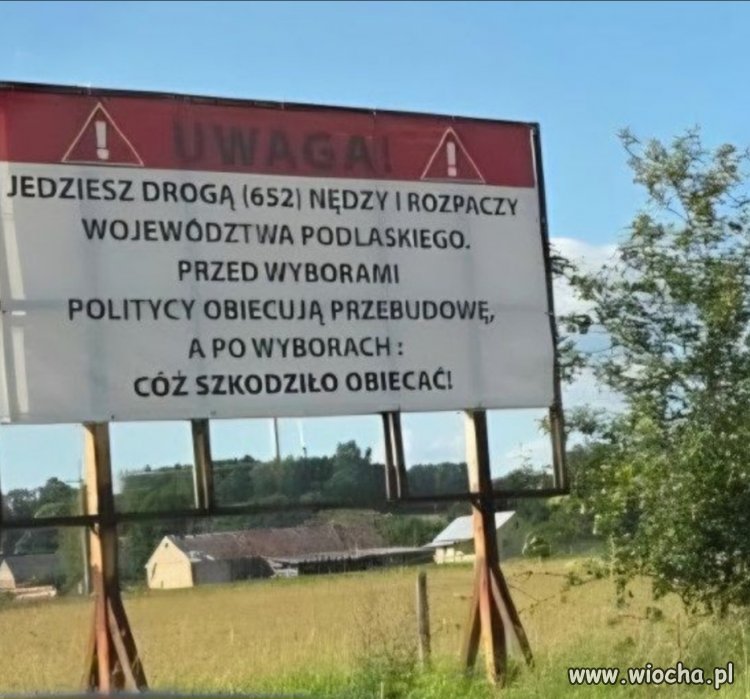 Czyżby w na Podlasiu 