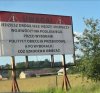 Czyżby w na Podlasiu 