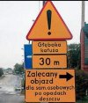 Polskie drogi 
