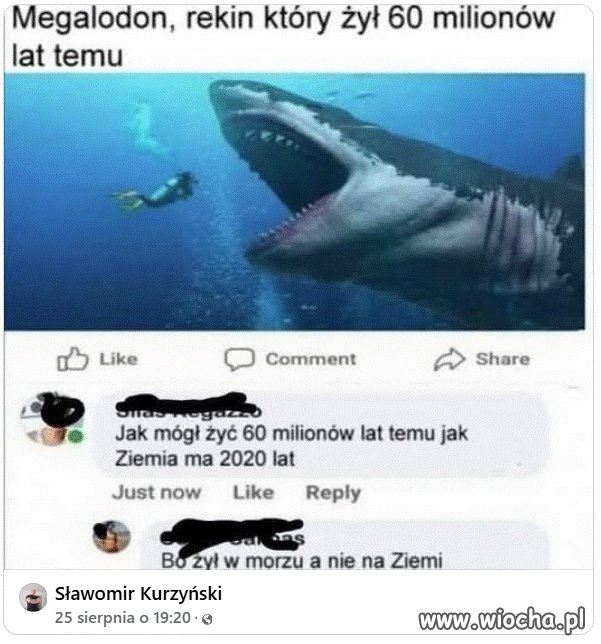 Absolwent uczelni katolickiej