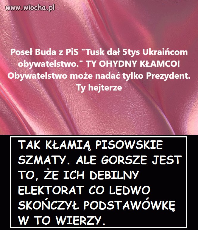 Buda do budy ty pisowski psie
