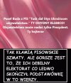 Buda do budy ty pisowski psie