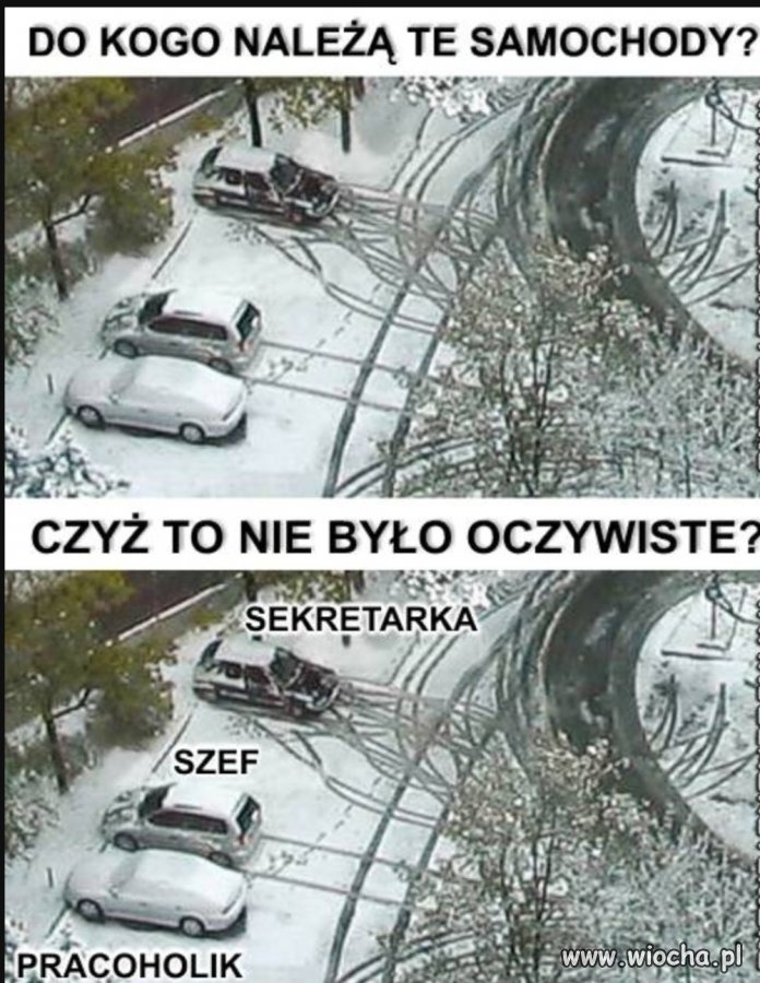 Bez polityki 
