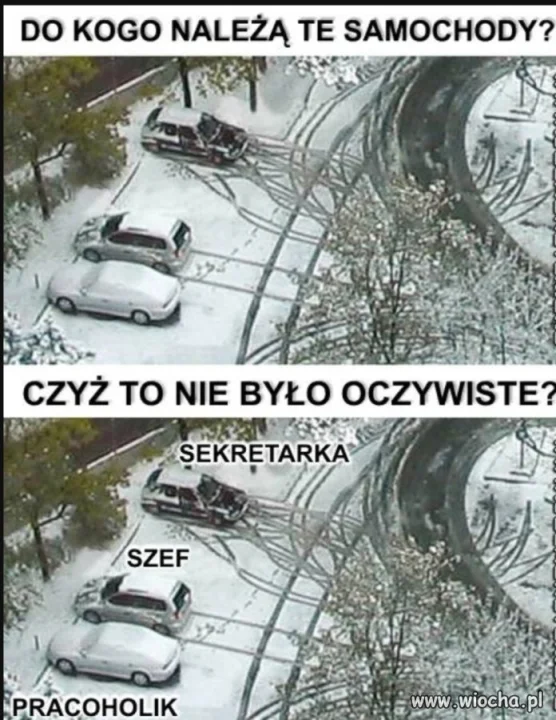 Bez polityki 