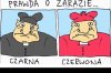 Na tę zarazę jeszcze nie wymyślili lekarstwa ...