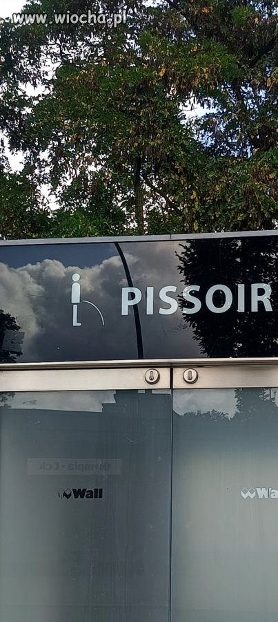 Co za inteligent wymyślił nazwę tej partii..