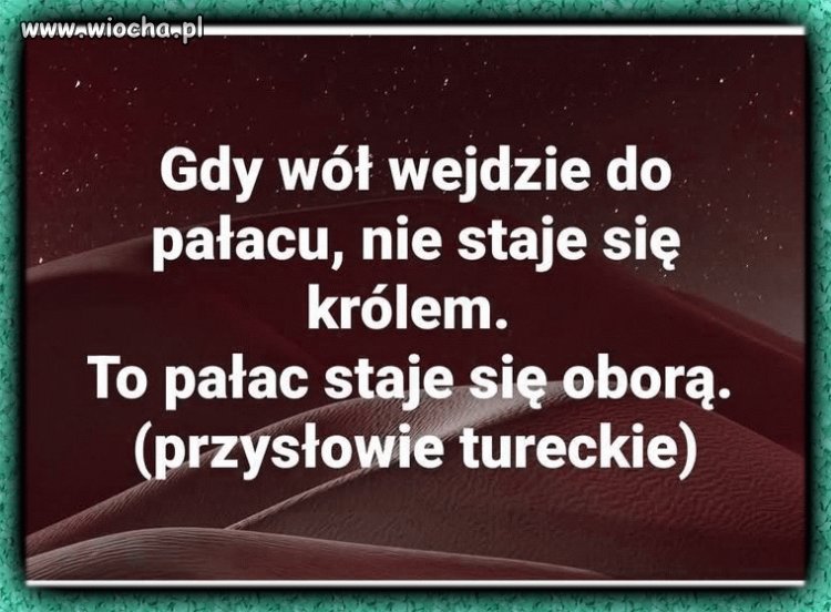 Tyle w temacie