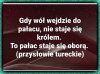 Tyle w temacie