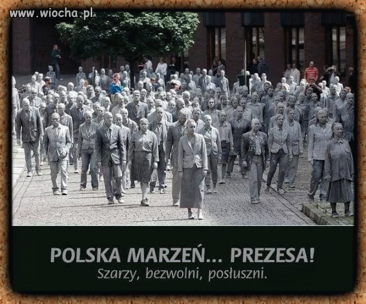 Mokre sny prezesa