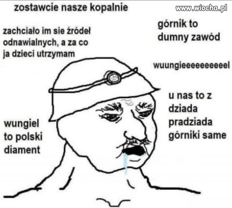 Polska debata o energetyce 