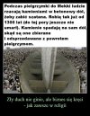 I tak się ten biznes kręci ...