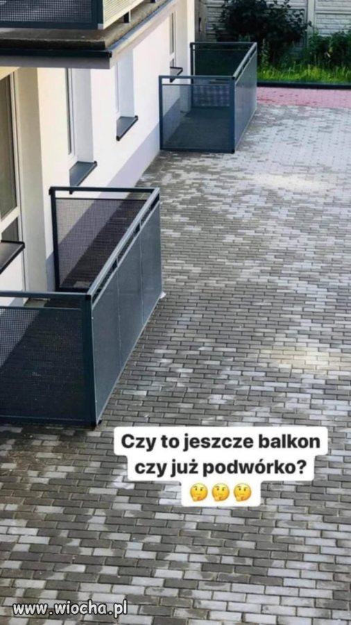 Klatka na psa?