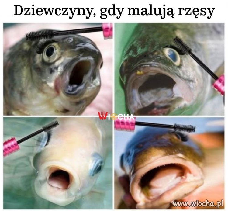 Dziewczyny, gdy malują rzęsy