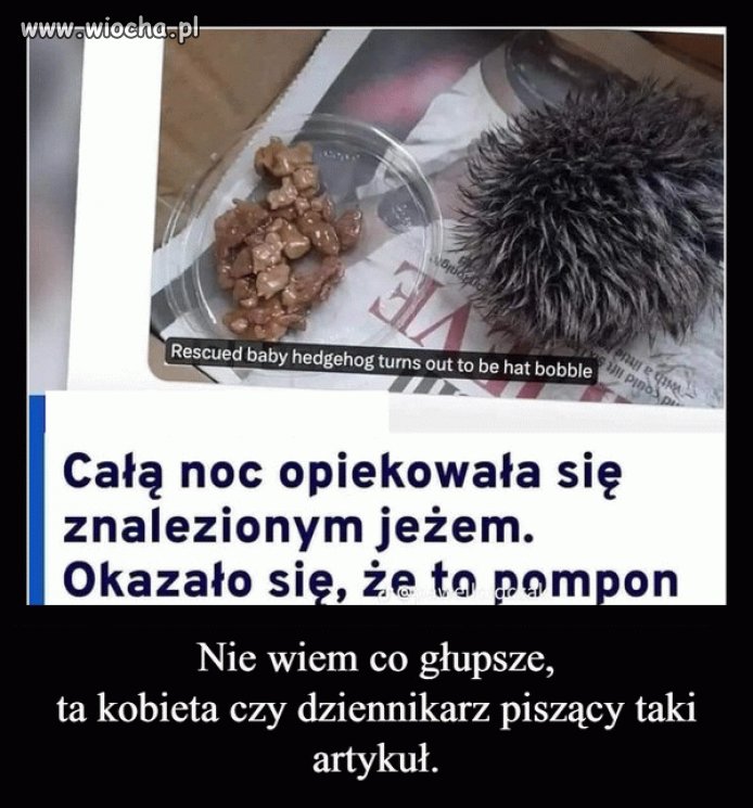 Głupich nie sieją