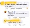 SYBI - co masz na myśli?