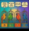 Tym właśnie jest religia...