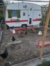 Glamping po polsku
