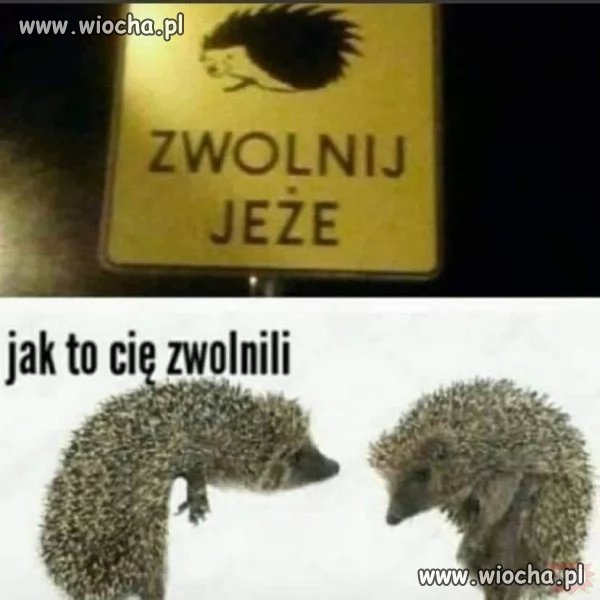 Jak to tego doszło?