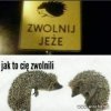 Jak to tego doszło?