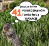 Już niedługo wakacje
