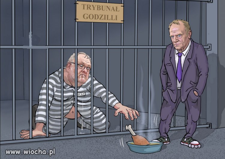 Głodzenie Trybunału przez Tuska 😁