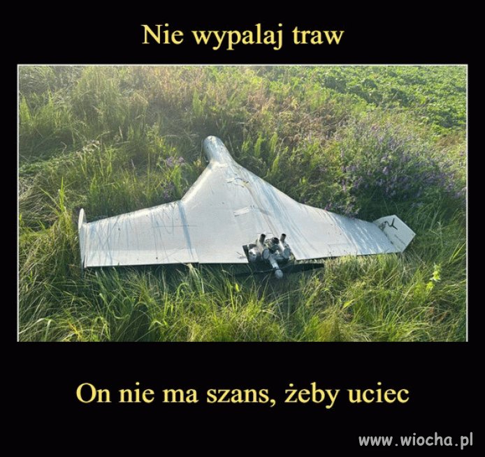 Z przymrużeniem oka
