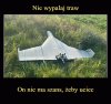 Z przymrużeniem oka