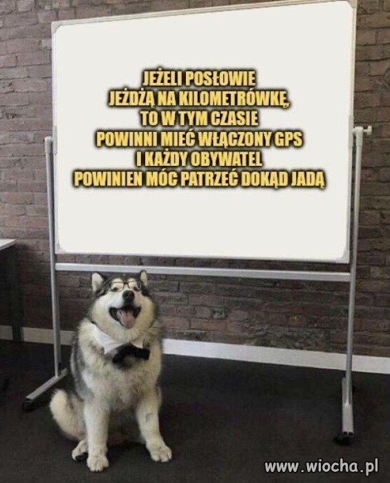 Warto zaproponować i poddać pod głosowanie