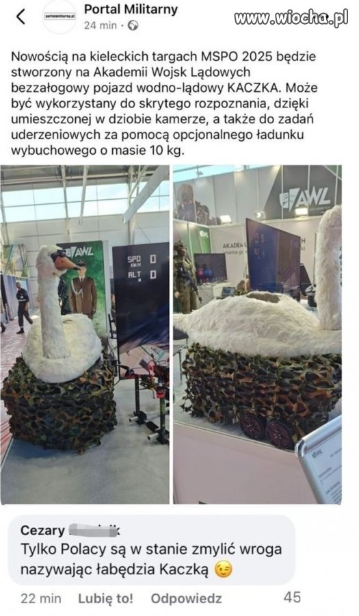 Taktyczny łabędź bojowy