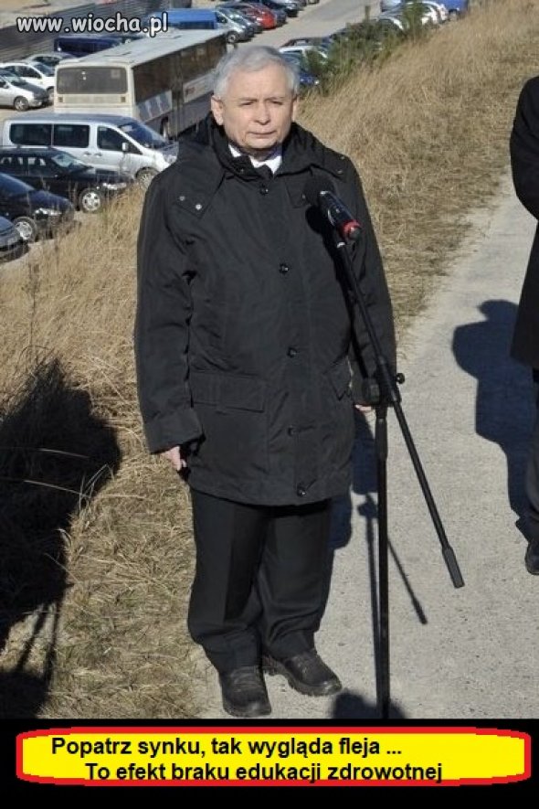 Może lepiej nie patrz ...