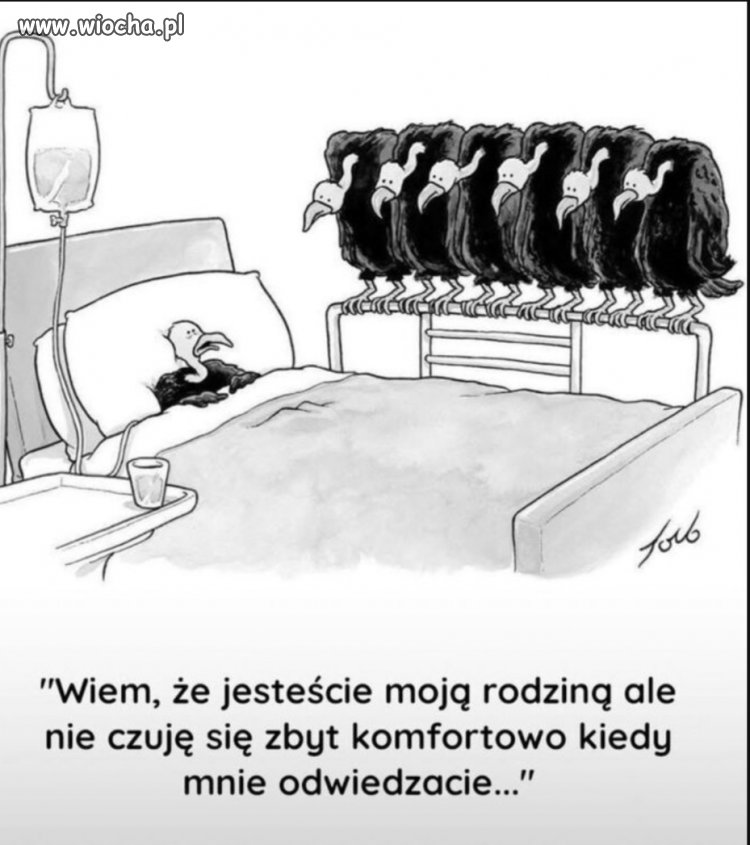I zapada taka niezręczna cisza 