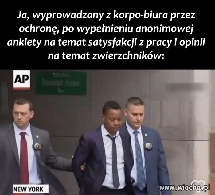 Kto wypełniał "anonimowe" ankiety w corpo