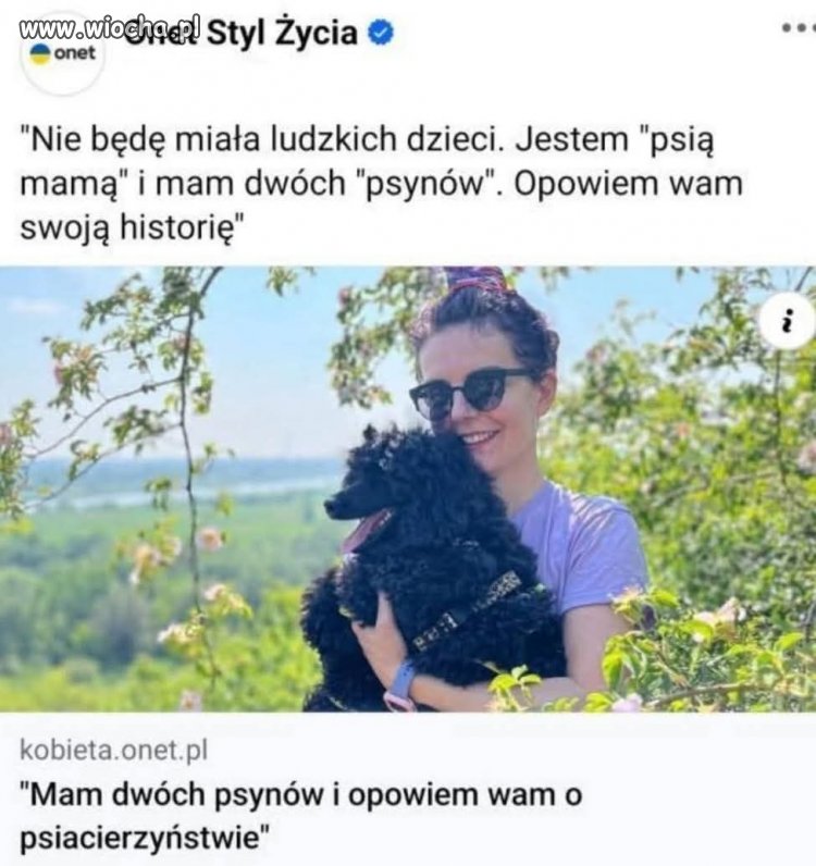 Niektórym to już porządnie odwala